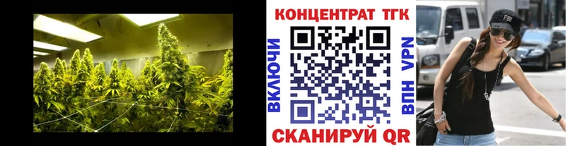 ТГК концентрат  купить   Болотное 