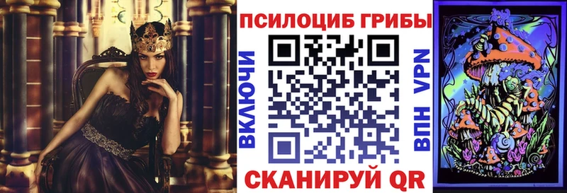 Псилоцибиновые грибы Cubensis  закладки  даркнет формула  Болотное 